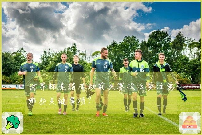 世界杯竞猜活动前决赛投注要注意哪些关键事项?