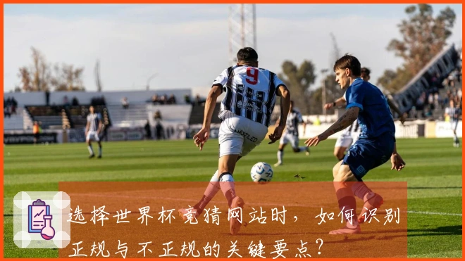 选择世界杯竞猜网站时，如何识别正规与不正规的关键要点？