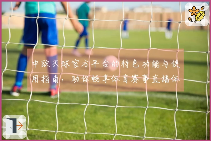 中欧买球官方平台的特色功能与使用指南,助你畅享体育赛事直播体验