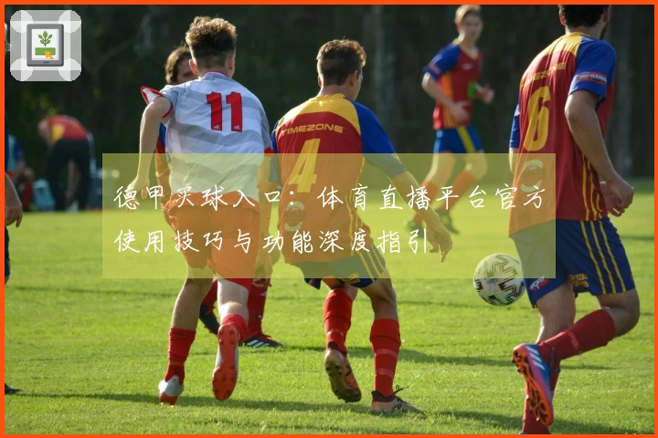 德甲买球入口：体育直播平台官方使用技巧与功能深度指引
