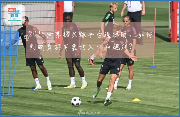 2026世界杯买球平台选择时，如何判断真实可靠的入口和规则？