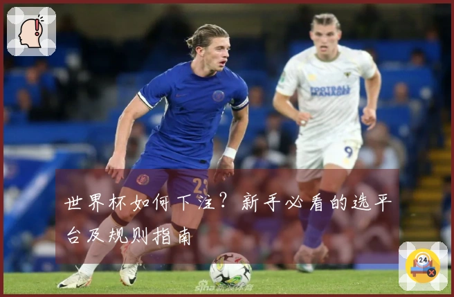 世界杯如何下注？新手必看的选平台及规则指南