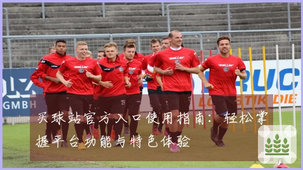 买球站官方入口使用指南：轻松掌握平台功能与特色体验