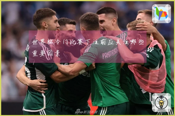 世界杯冷门比赛下注前应关注哪些重要因素