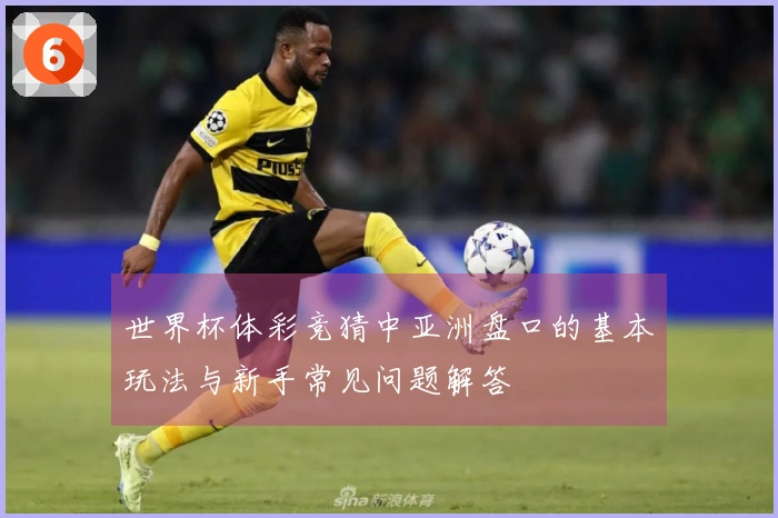 世界杯体彩竞猜中亚洲盘口的基本玩法与新手常见问题解答