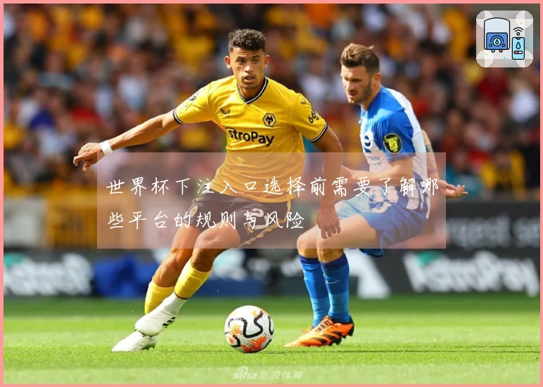 世界杯下注入口选择前需要了解哪些平台的规则与风险